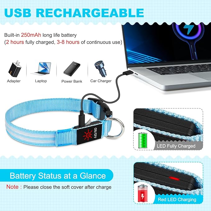 Illumifun Light Up Dog Collar, Rechargeable Water-Resistant LED Dog Collar Glow in The Dark, Flashing Lighted Collars for Pet Walking at Night (Blue, Small)
