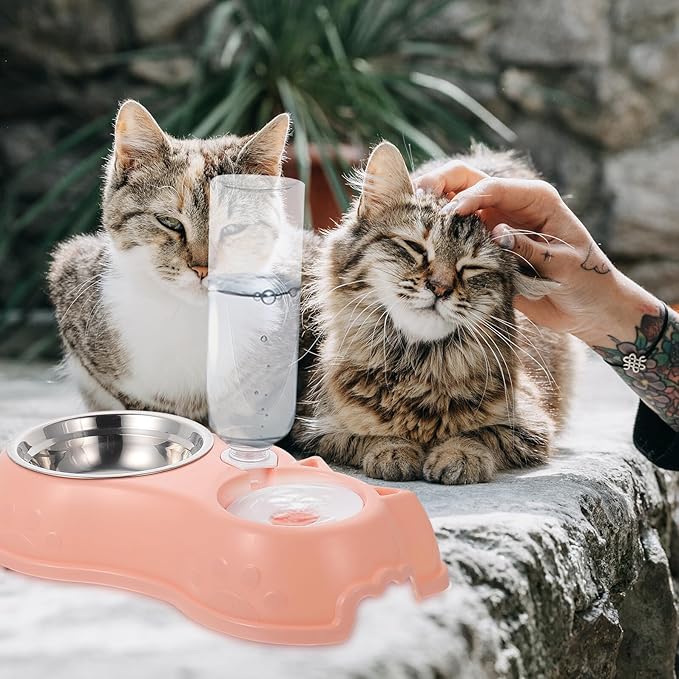 Automatic Pet Food and Water Dispenser Double Bowl Detachable Feeder Pink for Cats and Dogs, Pet Feeding Tool with Water Bottle, Suitable for Home Use