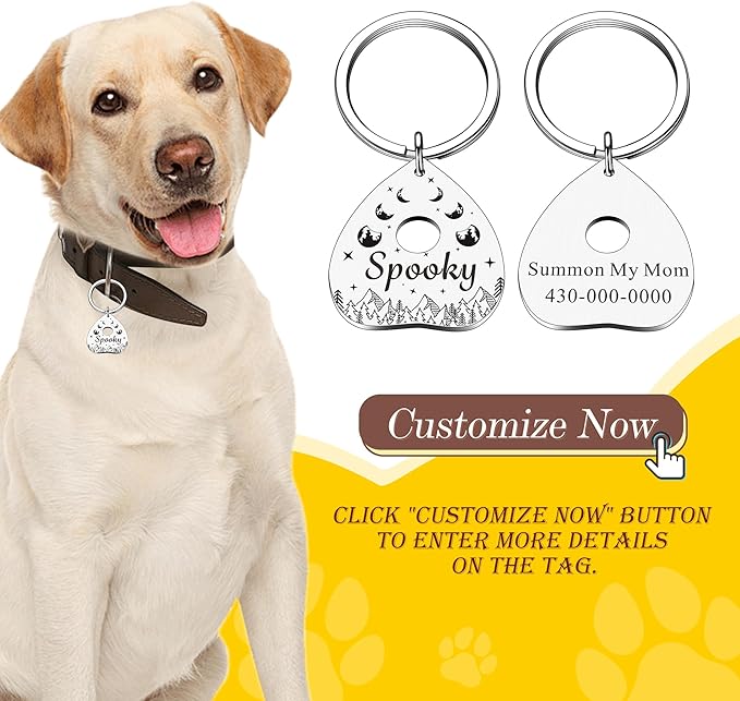 Personalized Christmas Dog Collar Tag – Goth Ghost Bat Pet ID Tags for Dogs & Cats, Christmas Accessories for Pet, Xmas Stocking Stuffers,Cute Winter Gifts for Pets (Planchette-Shaped ID Tag)