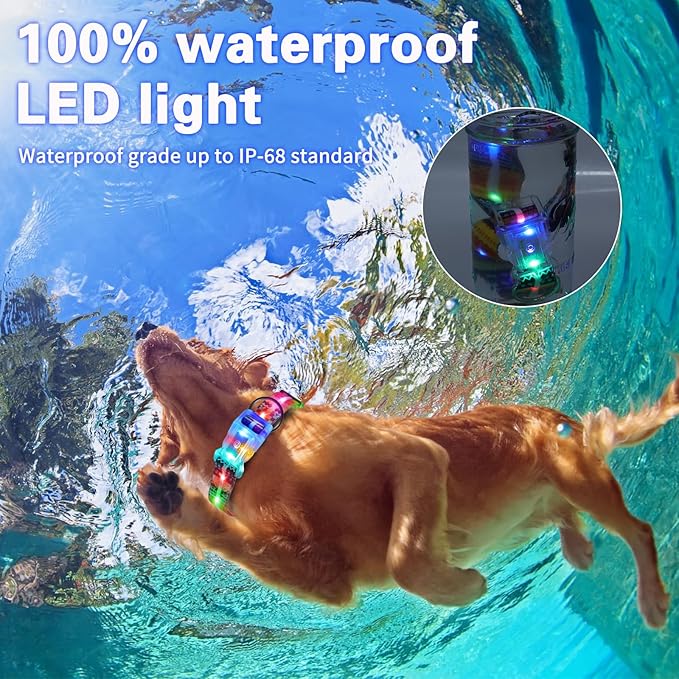 Light Up Dog Collars,LED Dog Collar Rechargeable Waterproof,2-in-1 Buckle Type Glow Collar for Medium Large Dogs- XL(15-25 * 0.98 inch can be Crop)