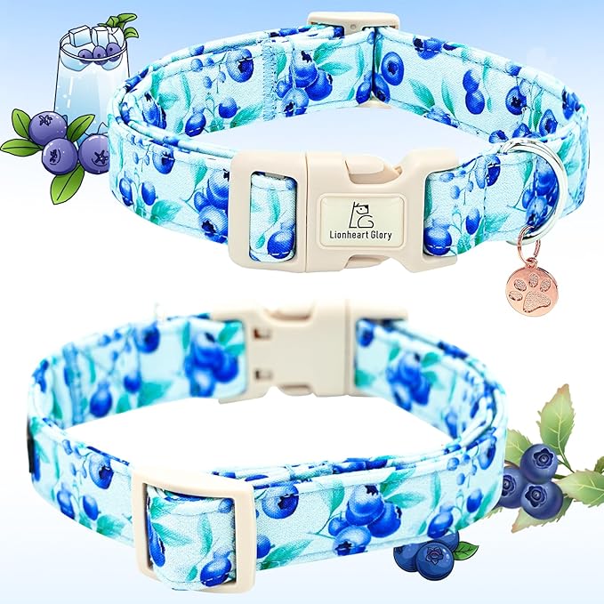 Lionheart glory Dog Collar Blueberries Print Collar for X-Small Dogs Spring Summer Female or Male Collars Pet Gift Adjustable Heavy-Duty Cute Puppy Collars