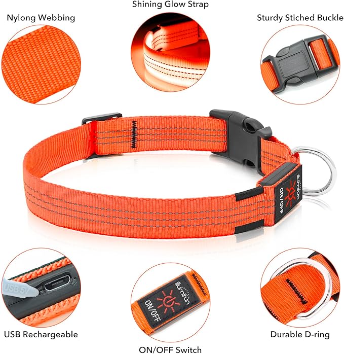 Illumifun LED Dog Collar USB Rechargeable Light Up Dog Collar, Reflective Pet Safety Collar Light Glow in The Dark (OrangeⅢ, Medium)