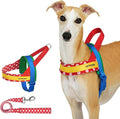 VETRESKA MoMA Dog Harness for Medium Large Dogs, Easy Walk Dog Harness and Leash Set, No Pull Dog Vest Harness for Walking and Training, Adjustable, Take Control & Anti-Twist Pet Lead Combo (Red, M)