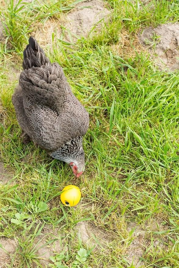 Lixit® Chicken Feeder Treat Ball Toy - Chicken Coop Peck Toy - Chick Slow Feeder and Enrichment Ball (Yellow, 1 Pack)