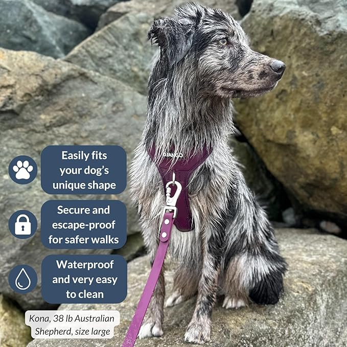 DJANGO Tahoe No Pull Dog Harness – Escape-Proof Dog Harness for Large Dogs with Front & Back Clips for Everyday Use – Adjustable, Padded, Reflective, Secure Fit, Easy On/Off – Raspberry Purple, XL