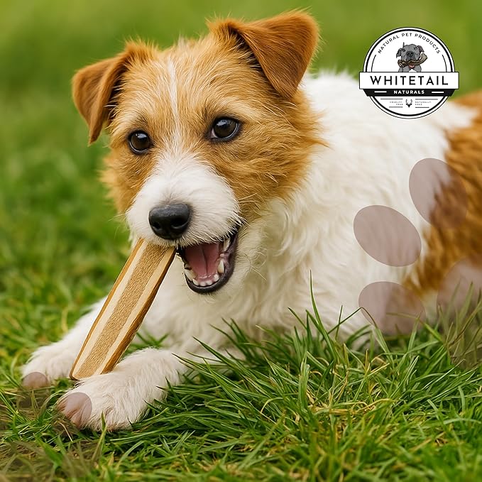 WhiteTail Naturals - Split Elk Antlers for Large Dogs - (3 Pack-Large) - Antler Dog Chews - Long Lasting Dog Chew Bone for Aggressive Chewers