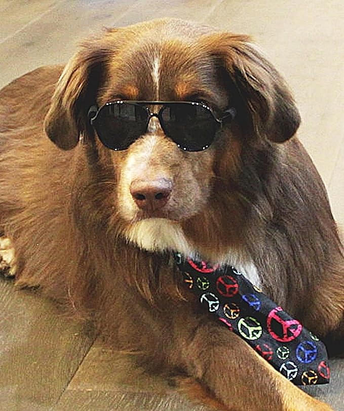 G010 Dog Pet Costume Prop Aviator Sunglasses Medium Breeds 20-40 lbs (2-Pack Black+Black-Emerald Green Mirror)
