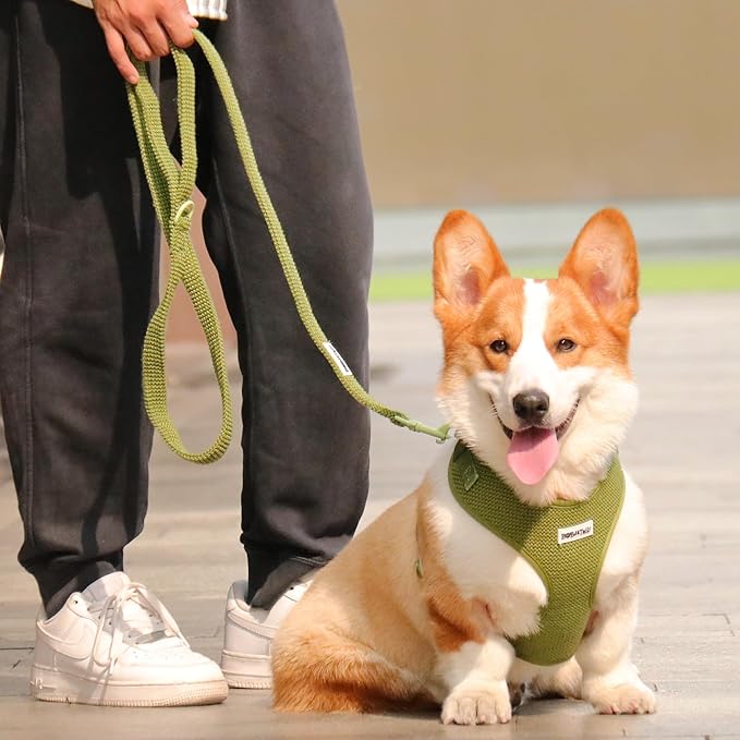 No Pull Dog Vest Harness for Small&Medium Dogs, Side Clip Adjustable Pet Vest, Soft Breathable, Fashion Dog Harnesses for Walking, Running, Shopping (Khaki Green,XS)