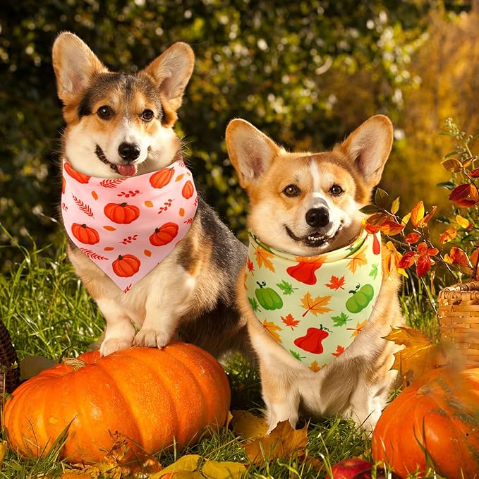 Preboun 50 Pcs Fall Thanksgiving Dog Bandana Bulk Pumpkin Maple Leaves Bandana for Dogs Triangle Kerchief Bib Scarf for Pets Costume Photo Props Accessories Pet Shops, 25 Styles (25.6 x 17.7 x 17.7)