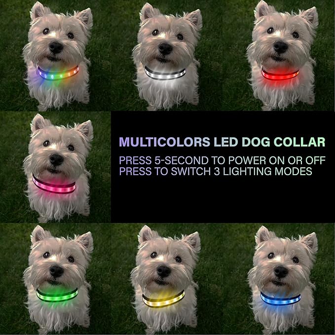 Light Up Dog Collar - Multicolor LED Dog Collar with 3 Glow Modes, Rechargeable Glow in The Dark Dog Collars for Small, Medium & Large Dogs, 1000 Ft Visibility, IPX7 Waterproof (Black, S)