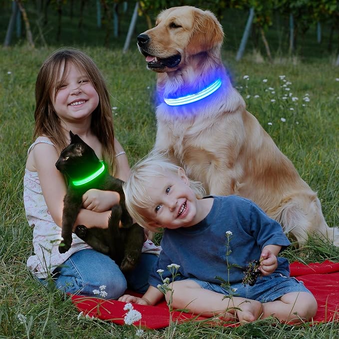 LED Lighted Reflective Dog Collar for Night Safety, USB Rechargeable, Glow Collar for Dogs, Waterproof, Adjustable Flashing (Blue, Medium)