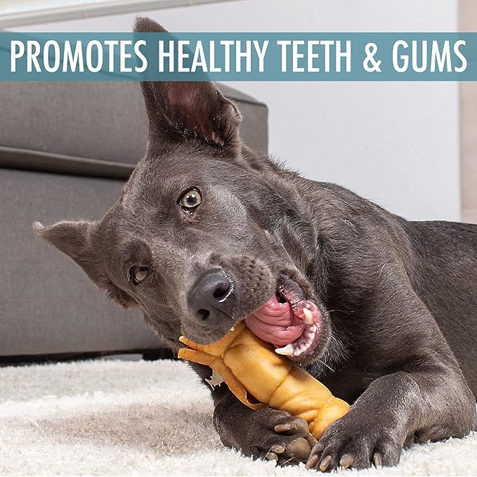 Wild Eats 9" Water Buffalo Treats No-Hide Cheek Roll - 3 Pack Long Lasting Dog Chews, Rawhide Free, Substitute for Pig Ears, for Aggressive Chewers & Large Dogs, Low Fat, High Protein