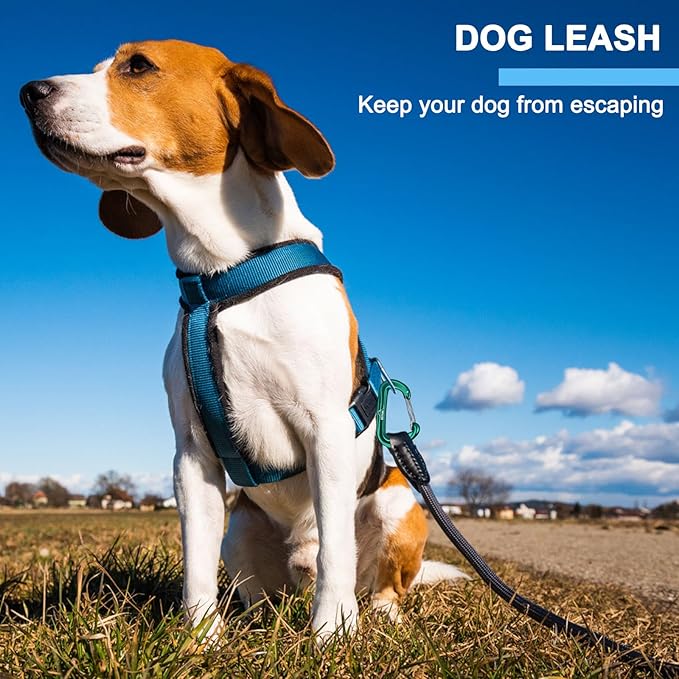 BEIFENG Heavy Duty Lightweight Locking Carabiner Clips D Ring for Camping Hiking Outdoor Gym etc, Carabiner with Lock Small Carabiners for Dog Leash & Harness