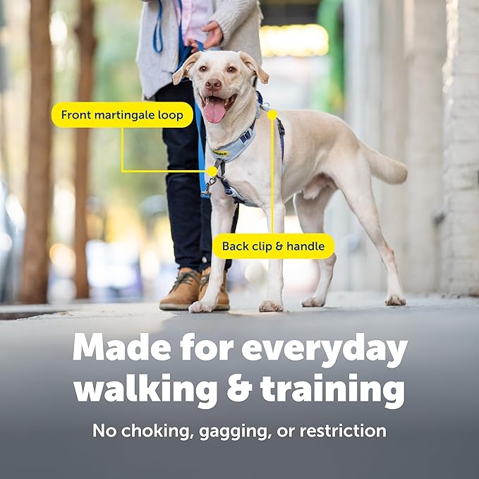 PetSafe Easy Walk Comfort No-Pull Dog Harness - Better Walk Training Harness - Full Body Padded Design - Durable Fabric - 5 Point Adjustable Fit - Everyday Leash Training - Green - Large