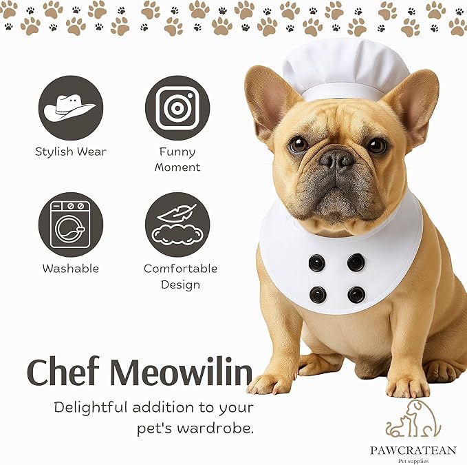 Pet Custom Dog Custom Cat Custom Hoodie, Sporty Look, Funny Gift, Halloween Holiday (Chef, Small)