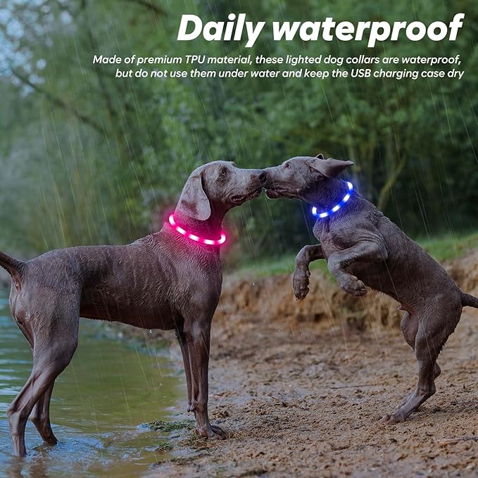 BSEEN Light Up Dog Collar - 2 Pack LED Dog Collar Rechargeable, Silicone Cuttable Glow in The Dark Dog Collar Light, Flashing Safety Dog Lights for Night Walking (Pink+Blue)