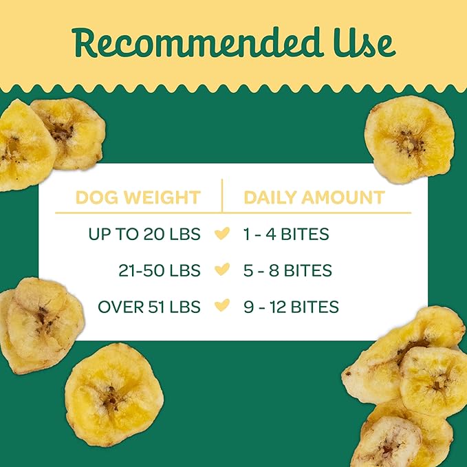 Wholesome Pride Banana Bites Dog Treats – 2-Ingredient Banana Chips for Dogs, Grain-Free, Banana & Coconut Oil, 8 oz