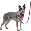 PetSafe Easy Walk Comfort No-Pull Dog Harness - Better Walk Training Harness - Full Body Padded Design - Durable Fabric - 5 Point Adjustable Fit - Everyday Leash Training - Pink - Medium/Large