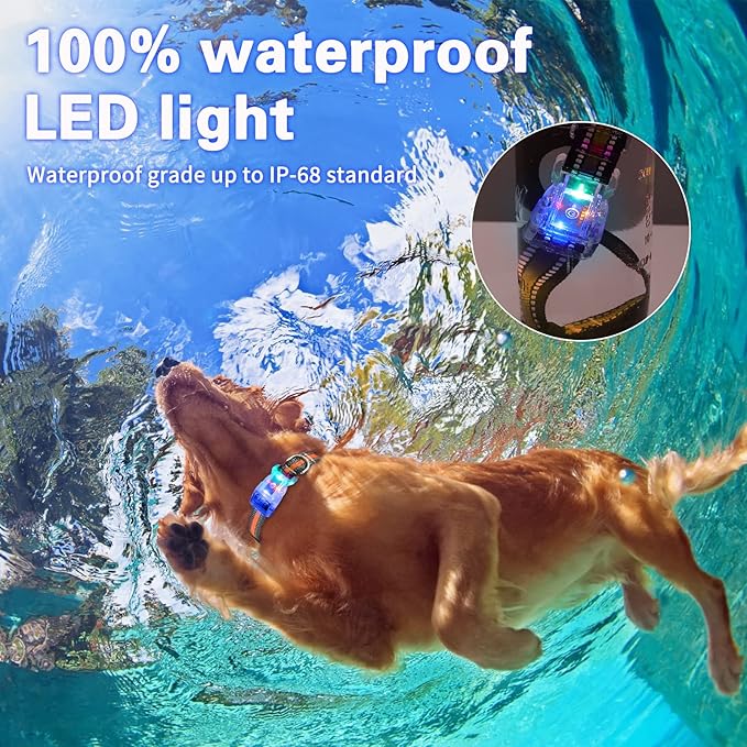 Buckle Glow Dog Collar Light,Adjustable Flashing LED Dog Collar Rechargeable Waterproof,Light Up Dog Collars Lights for Medium,Large Dogs- ML(Neck:14.17-24.8")