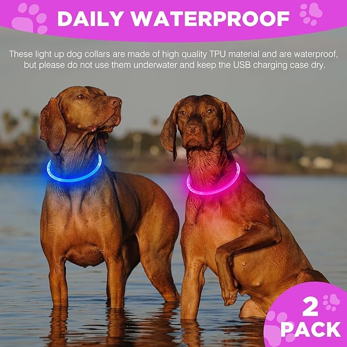 Higo 2 Pack Light Up Dog Collar, USB Rechargeable, Led Lighted, Glow in Dark, Fits Small, Medium, Large Dogs (Pink+Blue)