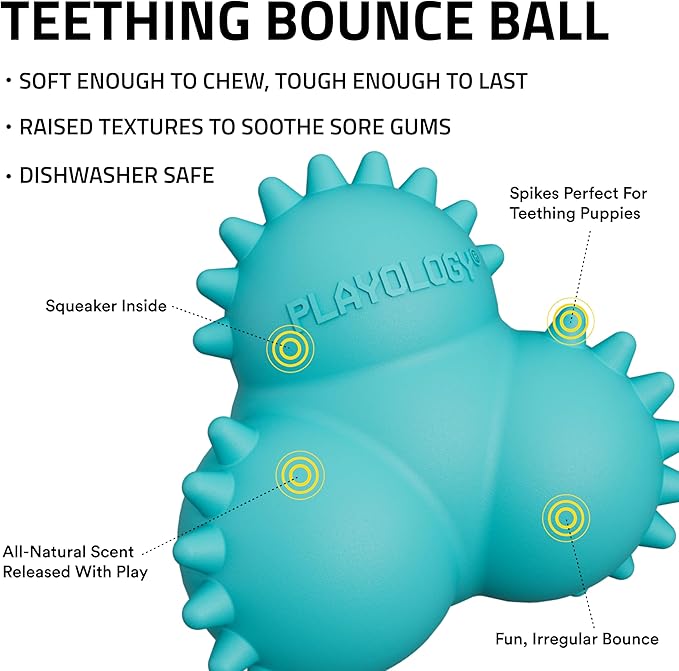 Playology Dog Toys | Puppy Toy Teething Bounce Ball Designed for Young & Active Dogs | Medium Peanut Butter Scented Toy Made from Non Toxic Materials