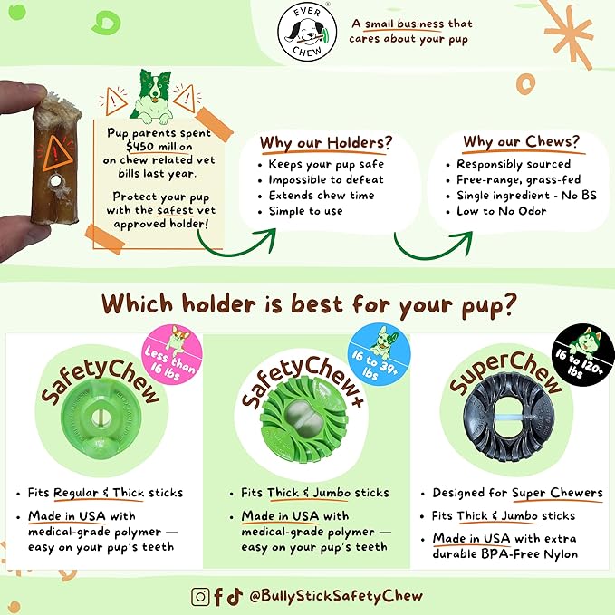 EverChew | Made in USA Bully Stick Holders & Premium All-Natural Bully Stick Starter Packs (SuperChew & 1 Jumbo 6" Stick | 16 to 120+ lbs)