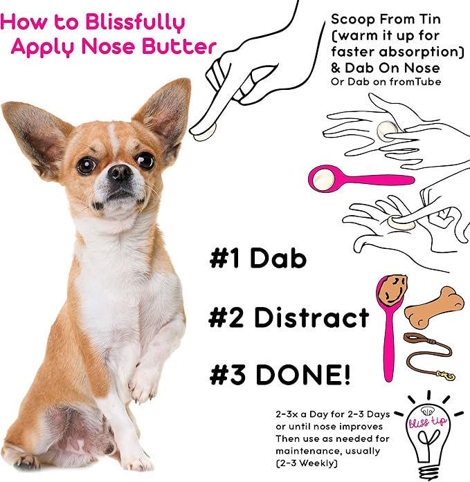The Blissful Dog Long Coat Chihuahua Nose Butter for Dry, Cracked Skin, Lick-Safe Dog Nose Balm with Moisturizing Shea Butter, Almond, Olive, and Essential Oils, Pet Supplies, Uncented, 8 oz.