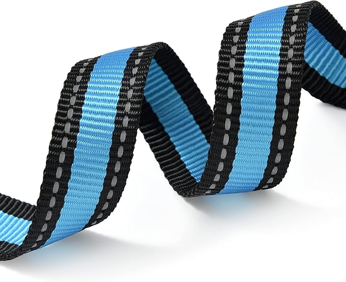 Mile High Life Dog Collar | Nylon Reflective Dog Collars | Light Weight Puppy Collars | Blue Dog Collars for Small Dogs (Blue, X-Small)