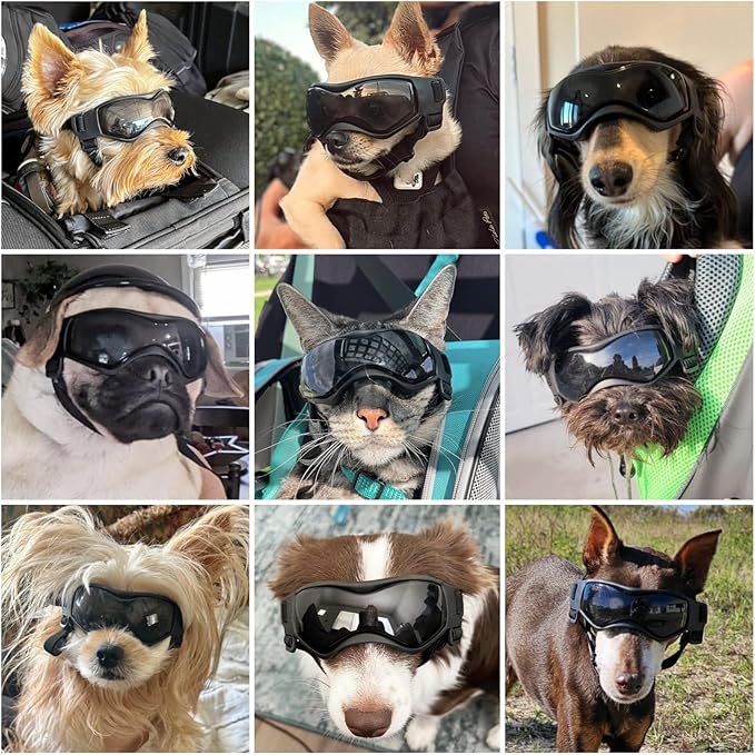 Namsan Dog Goggles Small Breeds, UV Protection Dog Glasses for Small Dogs, Puppy Sunglases Windproof Dustproof Driving Eye Protection, Adjustable, Cool Black