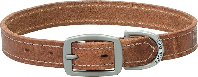 Terrain D.O.G. Harness Leather Dog Collar, 1" x 19"
