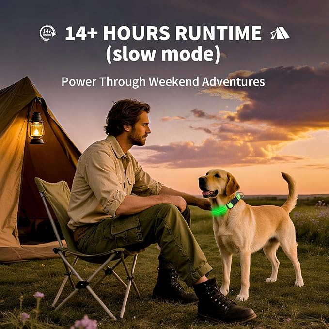 PetIsay Dog Light up Collar for Night Walking - High Visibility LED Dog Collar - Rechargeable - Waterproof - Reflective - Adjustable Lighted Glow Collars(Blue, XLarge)