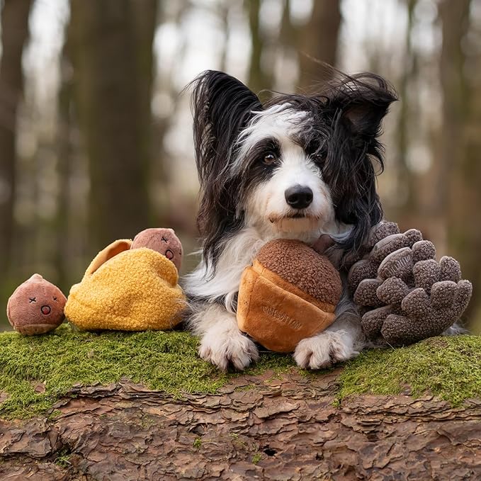 CHEWFFON Plush Pinecone Dog Toys-Interactive, Squeaky, Snuffle, Treat Dispensing, Nose Work Game for Small and Medium Dogs