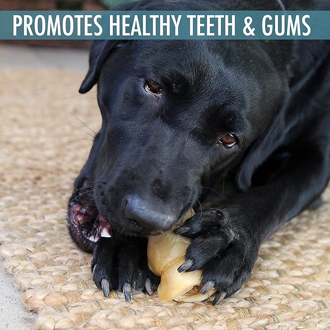 Wild Eats Water Buffalo 3" No-Hide Cheek Roll Dog Chews - 5 Pack (Long Lasting Chews, Treats, Rawhide Free for Aggressive Chewers & Medium Dogs) Pig Ears Alternative, Low Fat, High Protein
