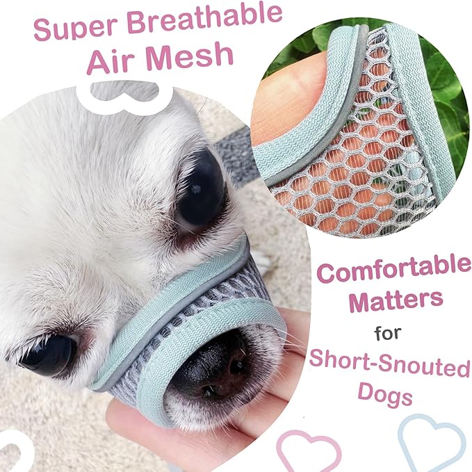 Dog Muzzle for Small Medium Dogs to Prevents Biting for Short Snouted Dogs,Westie Cockapoo Dachshund,Soft Breathable Lightweight Mesh,Open Front,for Grooming Vet Visits (Mint Blue, S)