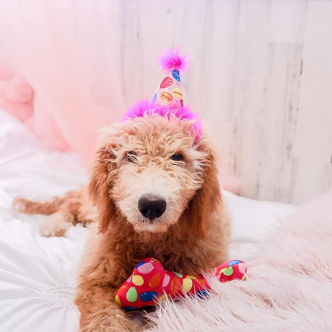 Huxley & Kent Pet Party Hat for Dogs & Cats - Fun Birthday Hat with SnugFit Adjustable Straps - Comfy Pet Costume Accessory for Parties, Gotcha Days & Celebrations - Pink, Large