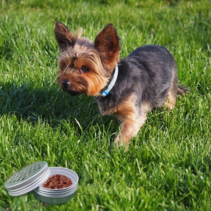 Dog Scent Work tins Nose Scent Training Kit Magnetic Dots Scent Work Training Tins Metal Box Smell Training Kit Aluminum Cans with Lids Nose Work Containers for Dogs (10 Pack)