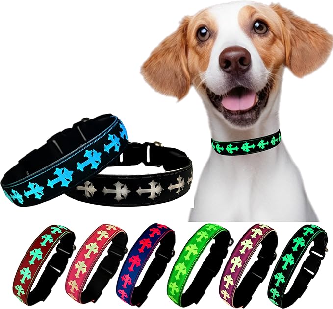 Personalized USB-C led Light up Dog Collar with Airtag Holder, IPX7 Waterproof,15 Modes Changing Multicolored Lighting (Black, S(7.87-11.8"))