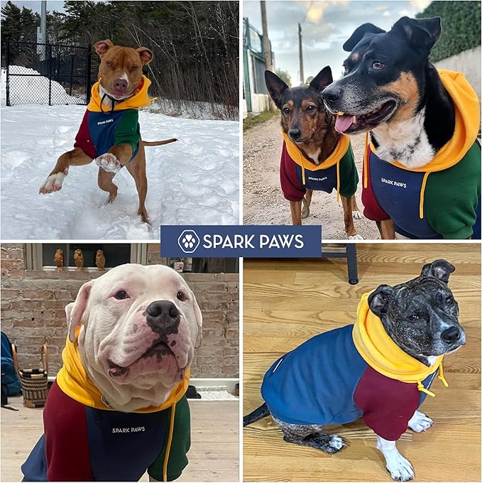 Spark Paws Dog Hoodie – Premium Dog Sweater for Small, Medium, and Large Dogs | Warm Outfits for French Bulldogs, Pitbull, Puppy, Winter Jacket Alternative - Primary Color Block - M
