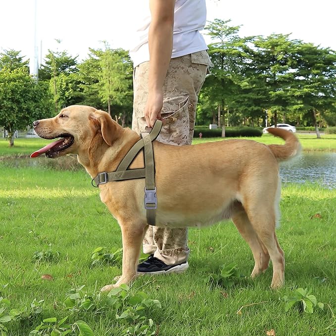 No Pull Dog Harness, Reflective Puppy Harness with Soft Padded Handle, Escape Proof/Quick Fit Adjustable Pet Harness for Small Medium Large Dogs, Easy for Training Walking (Yellow, S)