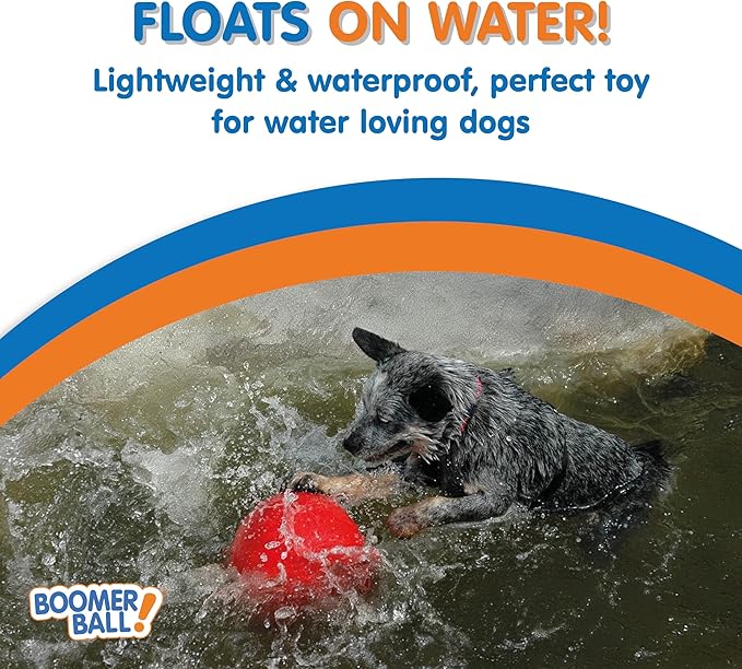 BOOMER BALL 10 inch, Virtually Indestructible Best Dog Toy, Boredom Busting Football, Tough&Durable Large Dog Ball, Floats on Water, Great for Mental Stimulation&High Energy Dogs, Assorted Colours