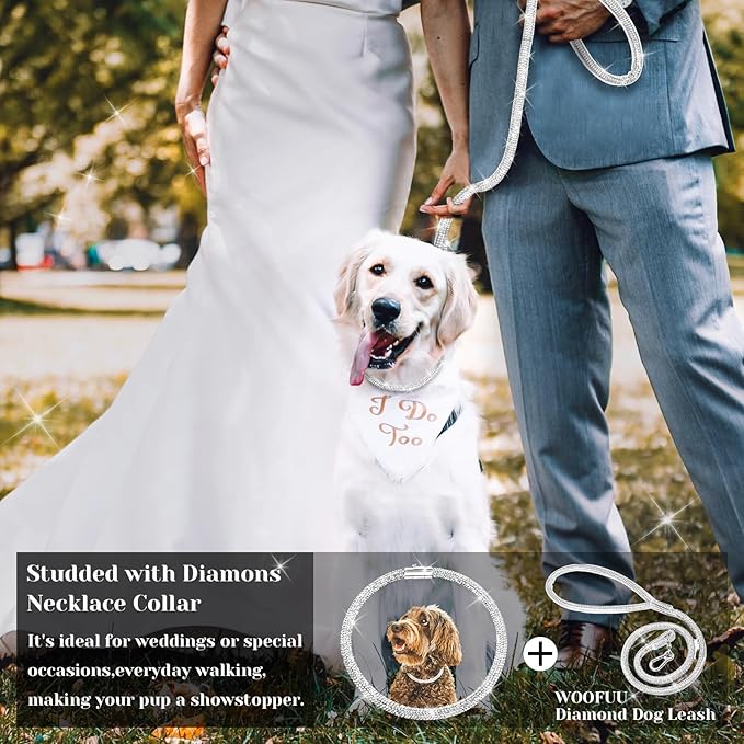 Stylish and Luxurious Diamond Cat Collar,Magnetically Absorbent Clasp,Full Diamond Design,Perfect for Wedding and Everyday Walking - Studded with Diamons Necklace Collar for Cats Dogs,8''