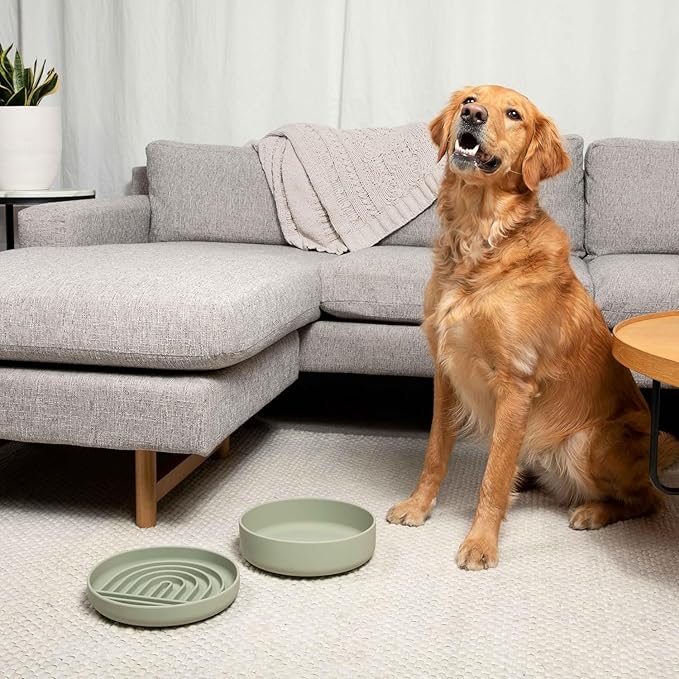 Should We Go? Dog Water Bowl - The Perfect Dish No-Spill, Less Mess Non-Tippable Water & Food Bowl, Silicone with Suction Cup Fits 8 Cups 9.5" Across x 2.5" Tall, Ideal for All Pets, Large-Ocean Blue