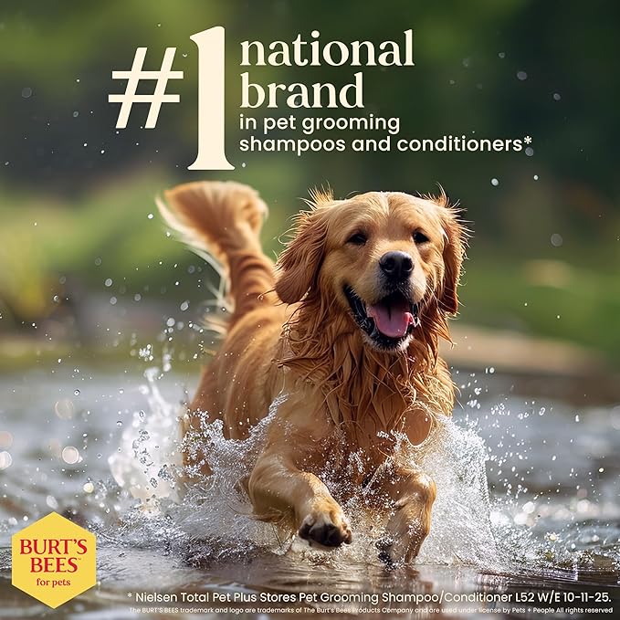 Burt's Bees for Pets Waterless Shampoo Spray for Dogs with Apple and Honey, 99.1% Natural Origin Formulas, Waterless Dog Shampoo - Gentle Dry Shampoo for Dogs, Best Dog Shampoo, 10 oz