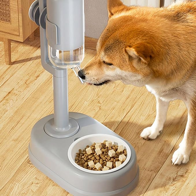 Pet Standing Water Dispenser Feeder Bowl, Dog Automatic Food Dispenser with Water Bottle Combined Bowl, Double Layer Pet Drinking Water Feeder for Both Cats and Dogs (Grey)