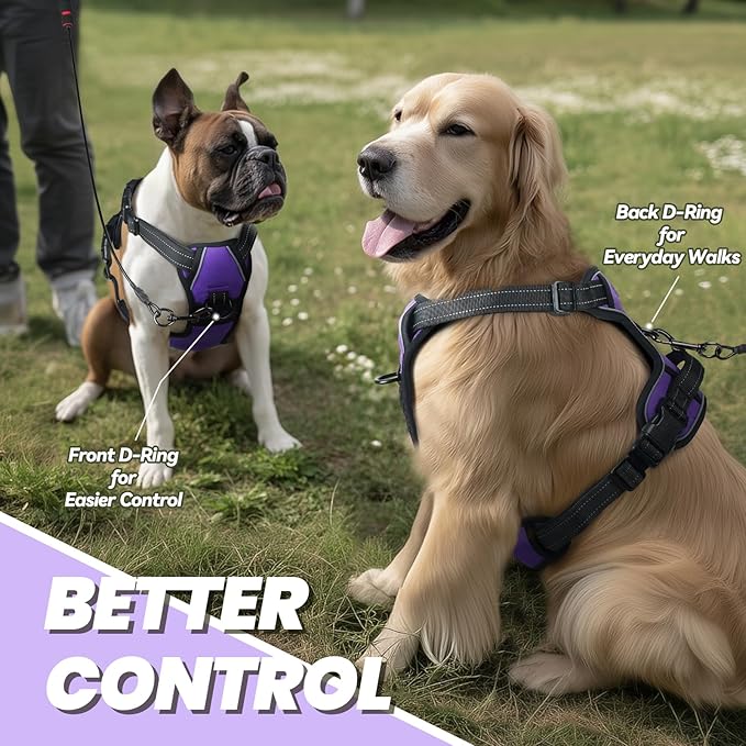 VIVAGLORY Dog Harness Easewalk No Pull Dog Harness with Handle Front Clip & Back Clip for Training Walking Lifting, No Pull Adjustable Easy On Padded Comfortable for Pet, S, Purple - Plain