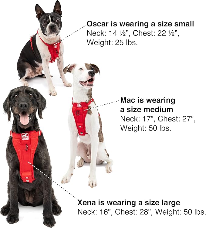 Kurgo Enhanced Strength Tru-Fit Dog Car Harness - Pet Travel Safety Harness - Crash Test Certified Fit - Five Point Adjustment - Secure Buckle - Padded Chest - Black - Medium