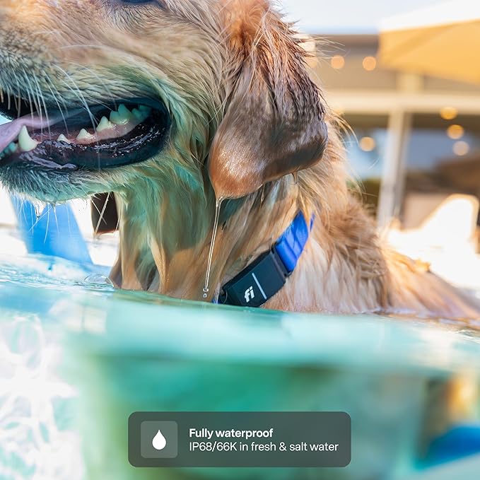 New Fi Series 3+ Smart Dog Tracker Collar [12 Month Membership Included] GPS Tracker for Dogs with Health & Behavior Monitoring, Escape Alerts, Waterproof, LED, Apple Watch Compatible (Blue, Medium)
