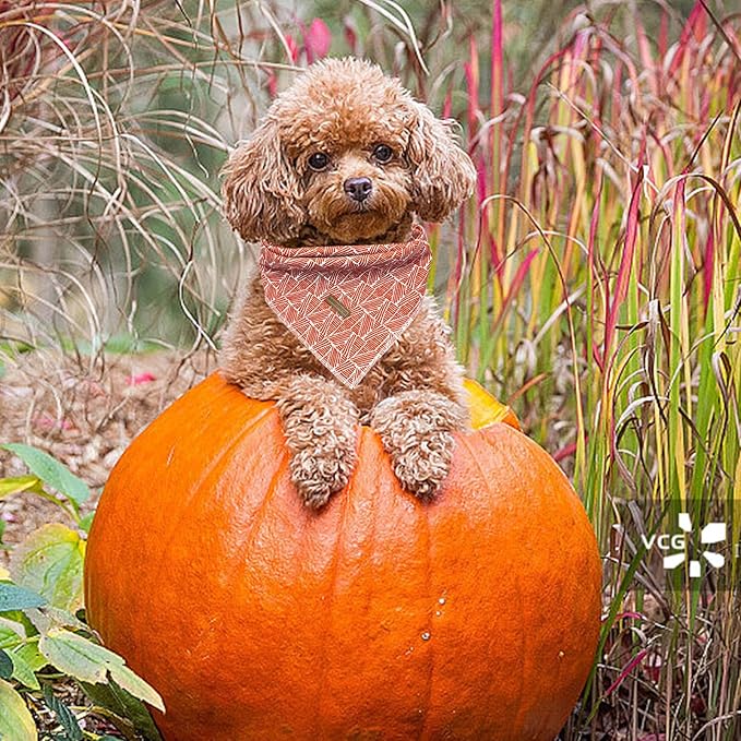 Elegant Little Tail Dog Bandana, Fall Halloween Adjustable Scarf Handkerchief Bib for Small Large Dogs, Boy Girl Square Kerchief
