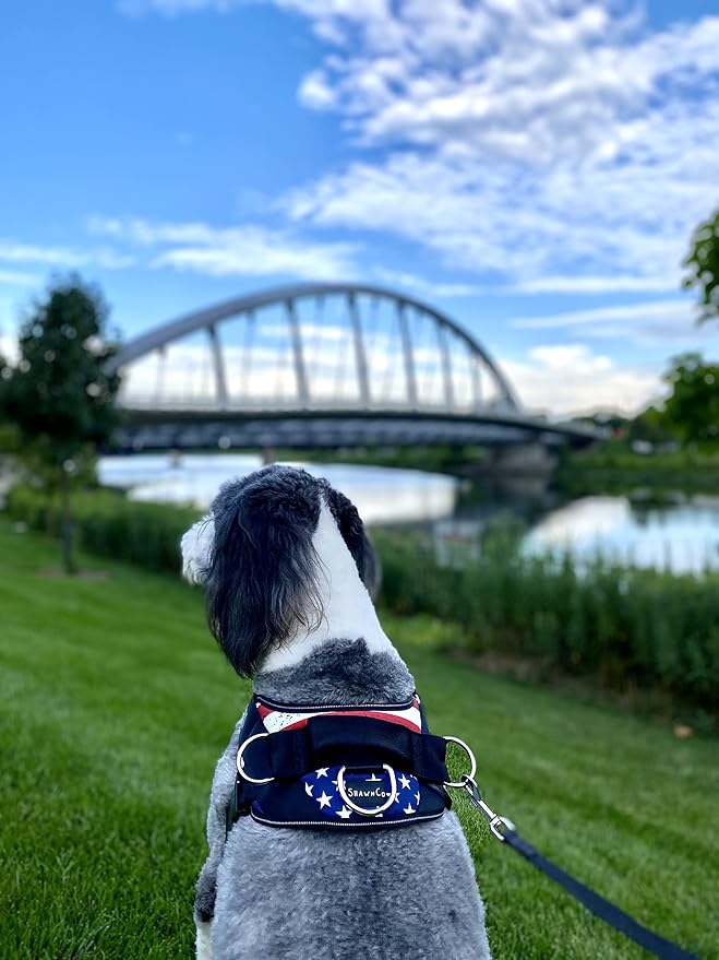 ShawnCo Essential Dog Harness, No-Pull Pet Vest with 3 Leash Clips, No Choke, Reflective, Adjustable and Padded, for Easy Walking and Training for Small, Medium and Large Dogs (Stars and Stripes, L)