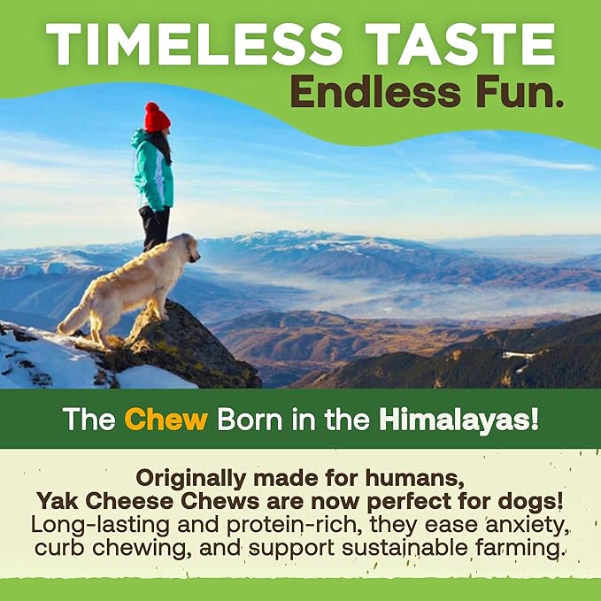EcoKind Pet Treats Gold Himalayan Yak Cheese Medium Dog Chew | Great Treats for Dogs, Indoors & Outdoor Use - 3 Medium Chews